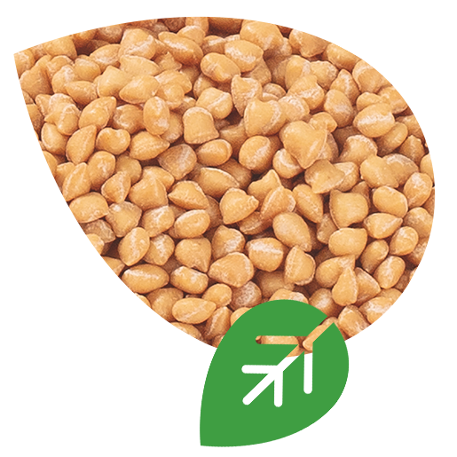 60 Prozent, Granulat